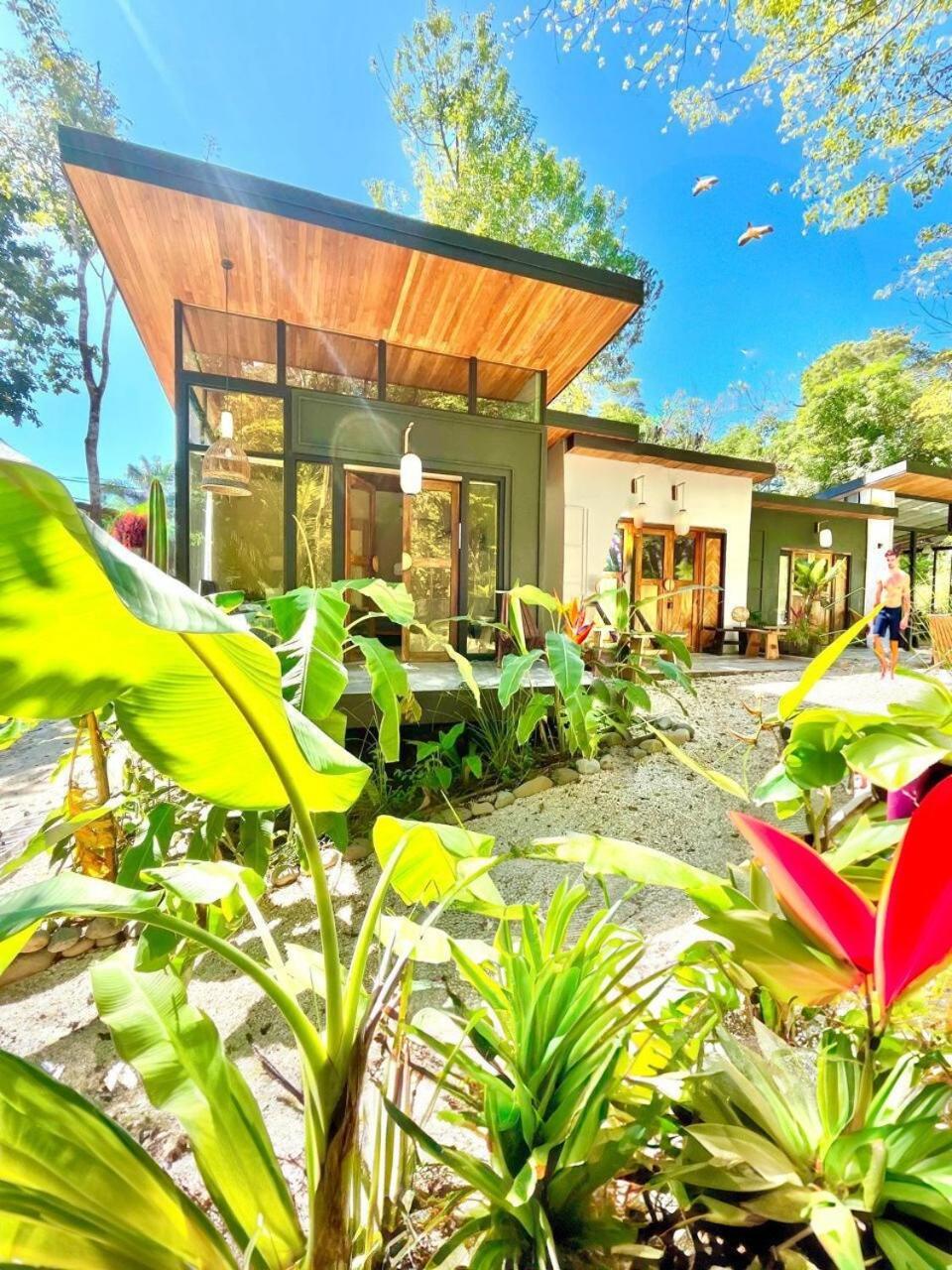 Ikiru House Villa Playa Santa Teresa  Kültér fotó